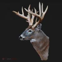 Wildlife The Boss Deer Head Kids Sweatshirt thumb 2