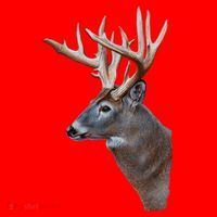 Wildlife The Boss Deer Head Santa Hat thumb 1