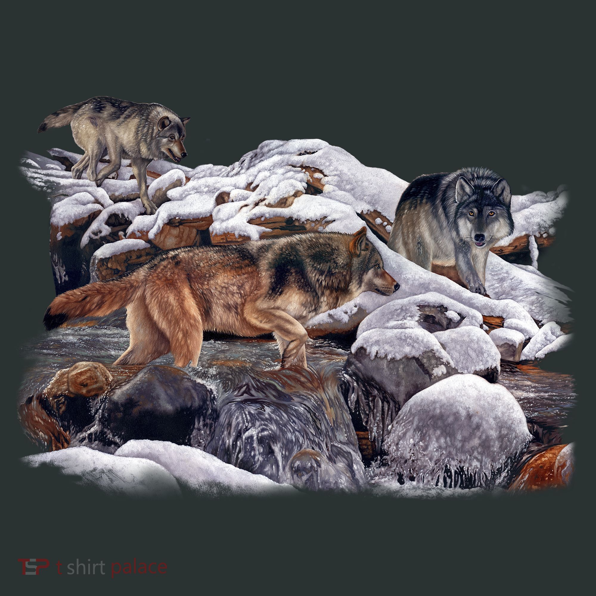 Wildlife Wolf Creek Coaster