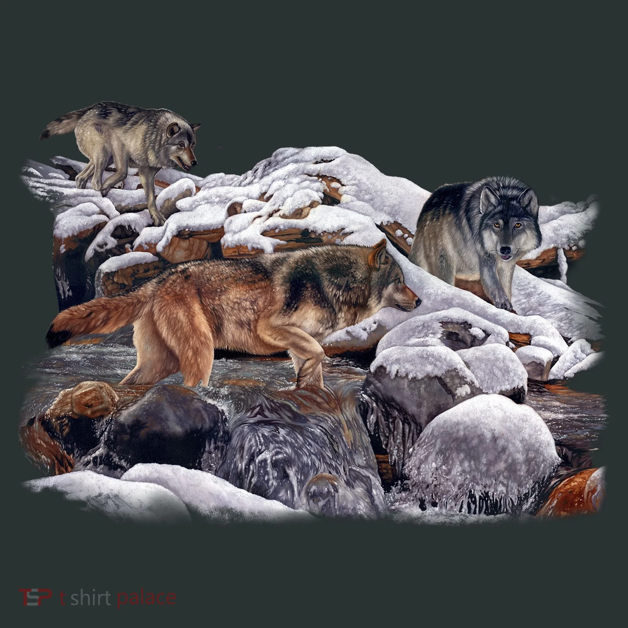 Wildlife Wolf Creek Women's Long Sleeve Shirt