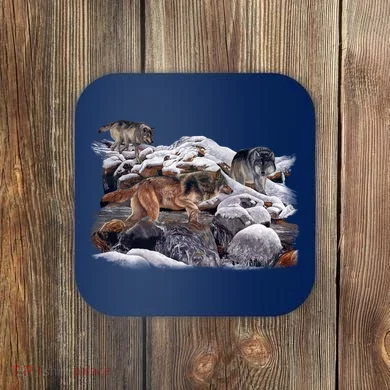Coaster