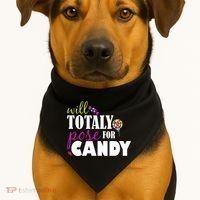 Will Totally Pose For Candy USA-Made Doggie Bandana thumb 1