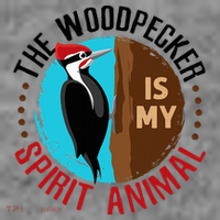 Woodpecker Is My Spirit Animal Bird Watcher Nerd Birder Toddler Hoodie thumb 2
