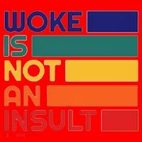 Woke Is Not An Insult Santa Hat thumb 1