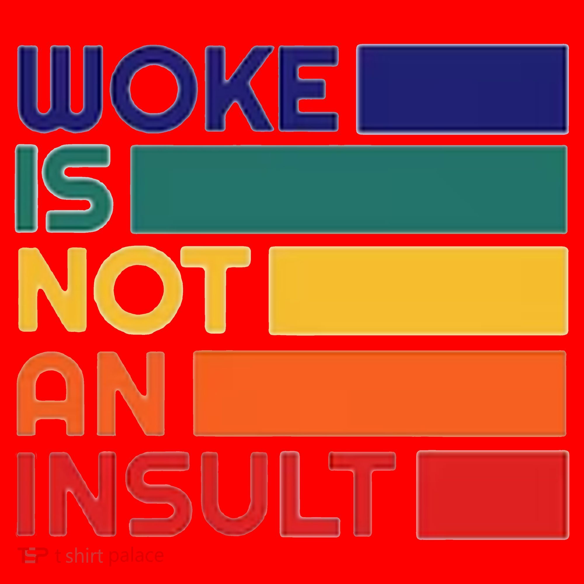Woke Is Not An Insult Santa Hat