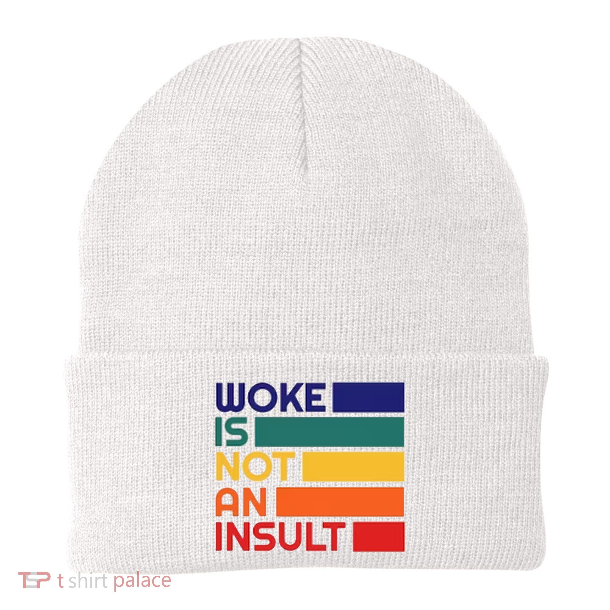 Woke Is Not An Insult Beanie