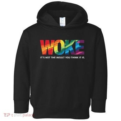 Woke ItS Not The Insult You Think It Is Toddler Hoodie