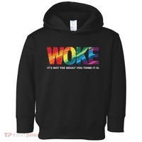 Woke ItS Not The Insult You Think It Is Toddler Hoodie thumb 0