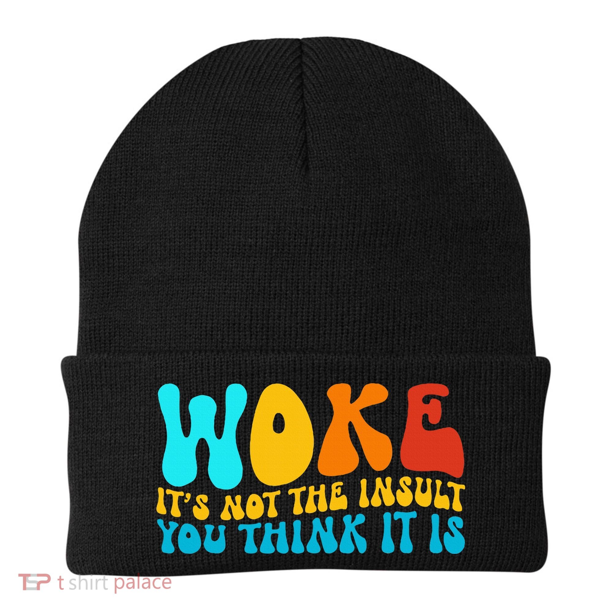 Woke It’S Not The Insult You Think It Is Beanie