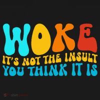 Woke It’S Not The Insult You Think It Is Kids Long Sleeve Shirt thumb 2