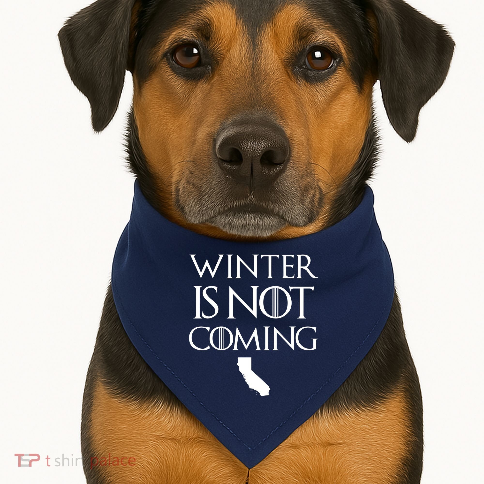 Winter Is Not Coming California USA-Made Doggie Bandana