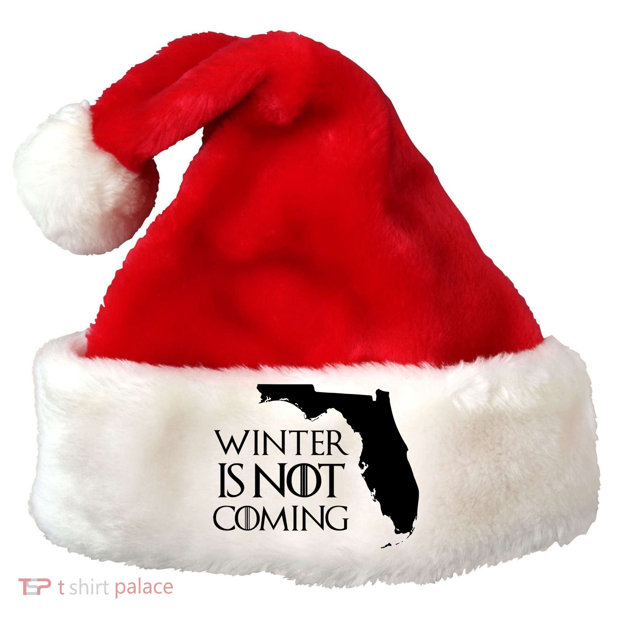 Winter Is Not Coming Florida Santa Hat