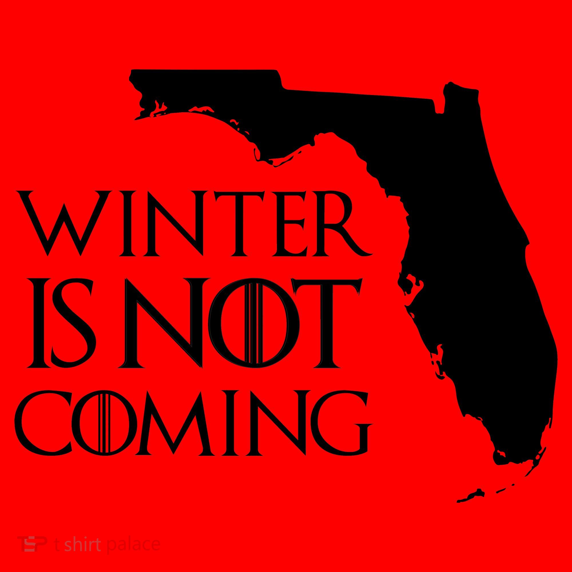 Winter Is Not Coming Florida Santa Hat