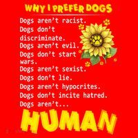 Why I Prefer Dogs Dogs ArenT Racist Dogs DonT Discriminate Gift Santa Hat thumb 1