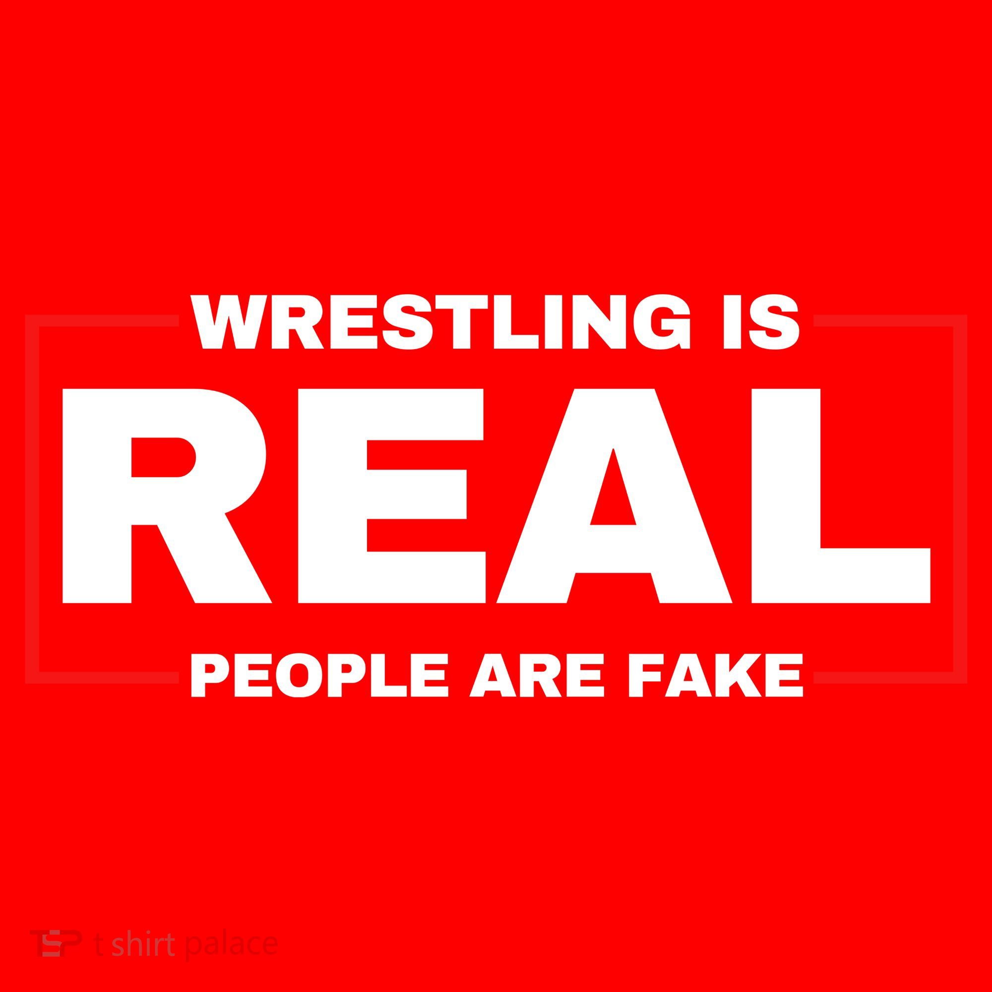 Wrestling Is Real People Are Fake Santa Hat