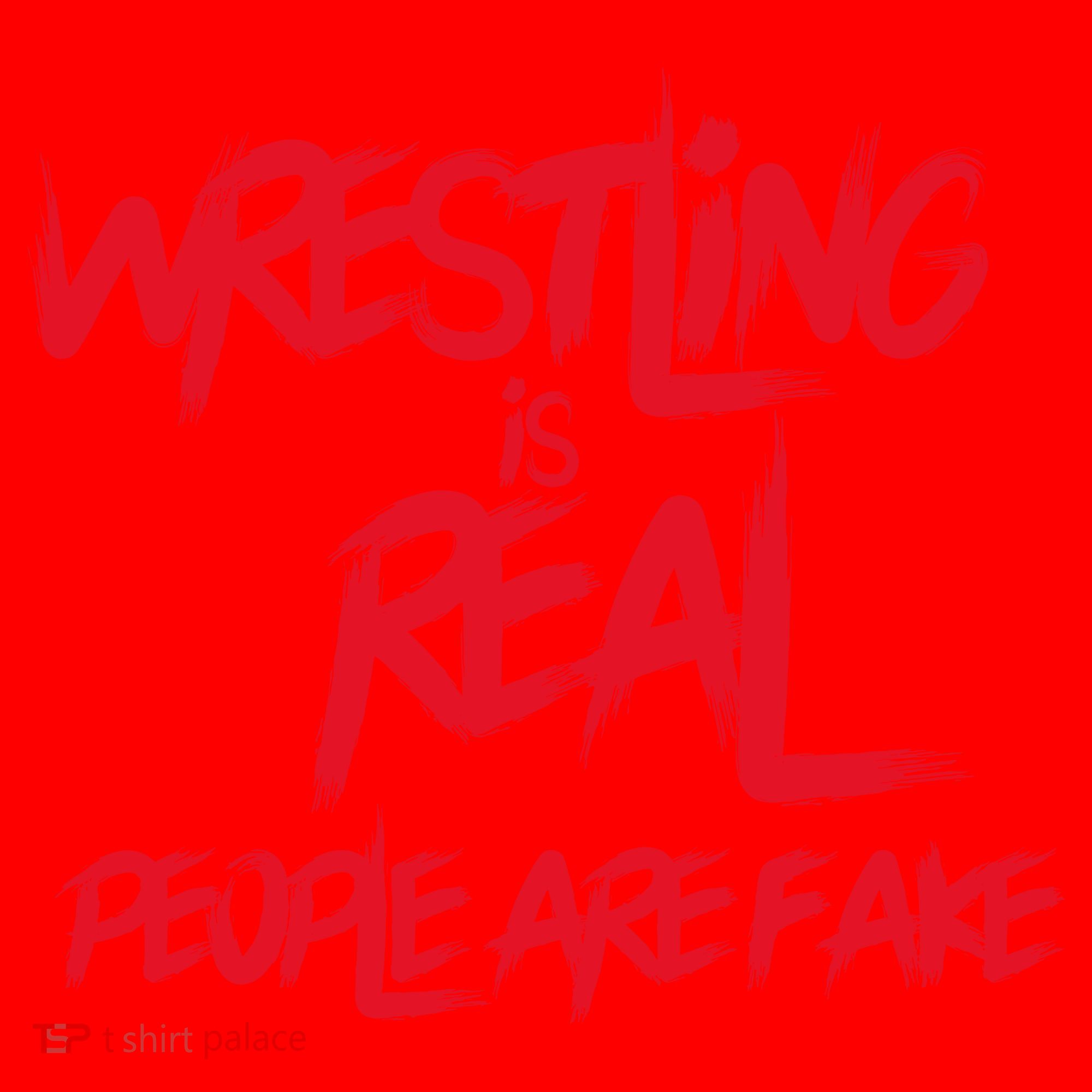 Wrestling Is Real People Are Fake Santa Hat