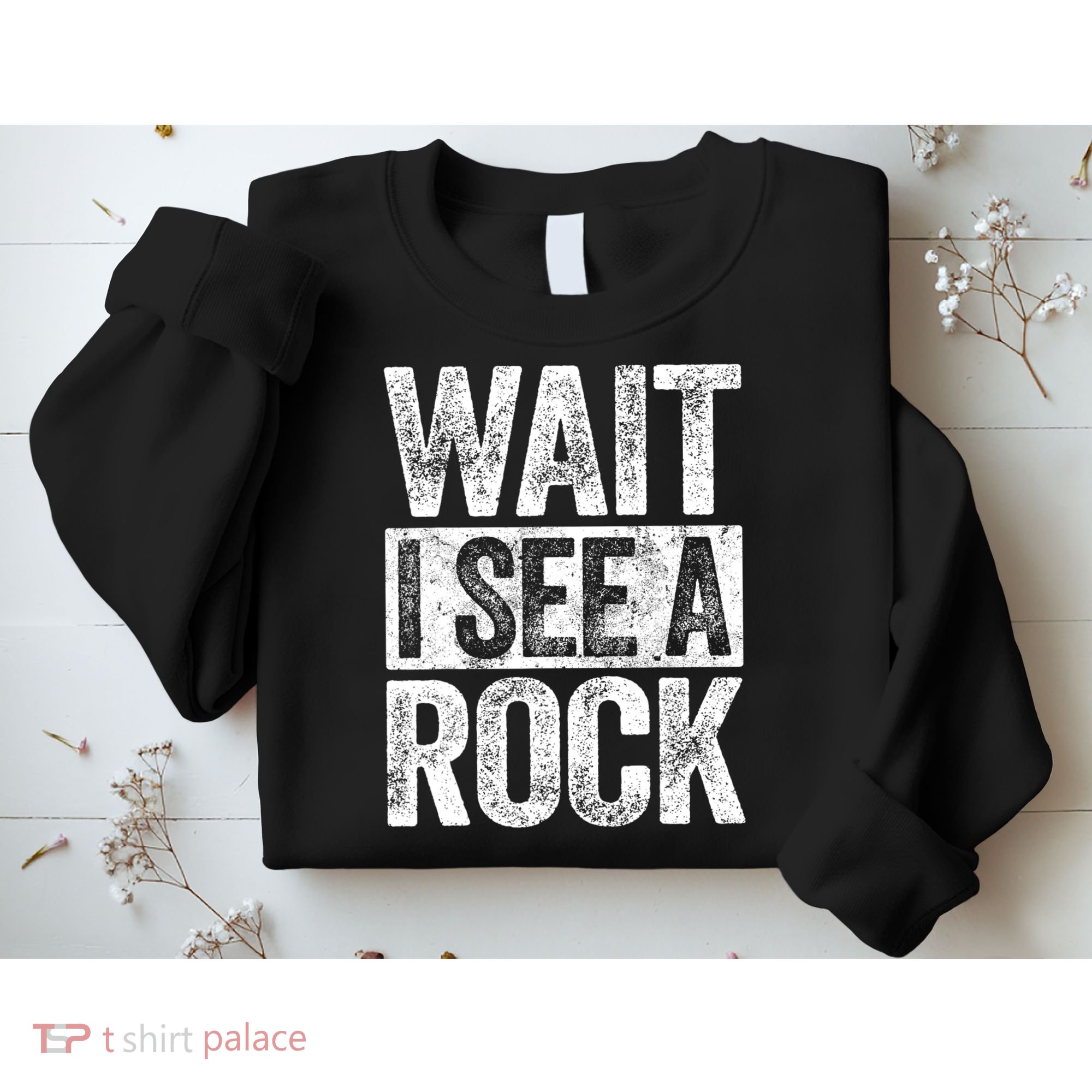 Wait I See A Rock Funny Geologist Gift Sweatshirt