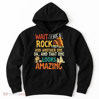 Wait I See A Rock Rock Collector Geode Hunter Geology Hoodie