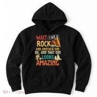 Wait I See A Rock Rock Collector Geode Hunter Geology Hoodie thumb 0