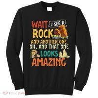 Wait I See A Rock Rock Collector Geode Hunter Geology Sweatshirt thumb 0