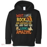 Wait I See A Rock Rock Collector Geode Hunter Geology Toddler Hoodie thumb 0