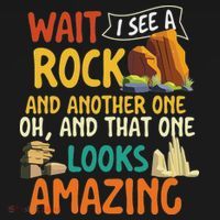 Wait I See A Rock Rock Collector Geode Hunter Geology Toddler T-Shirt thumb 4