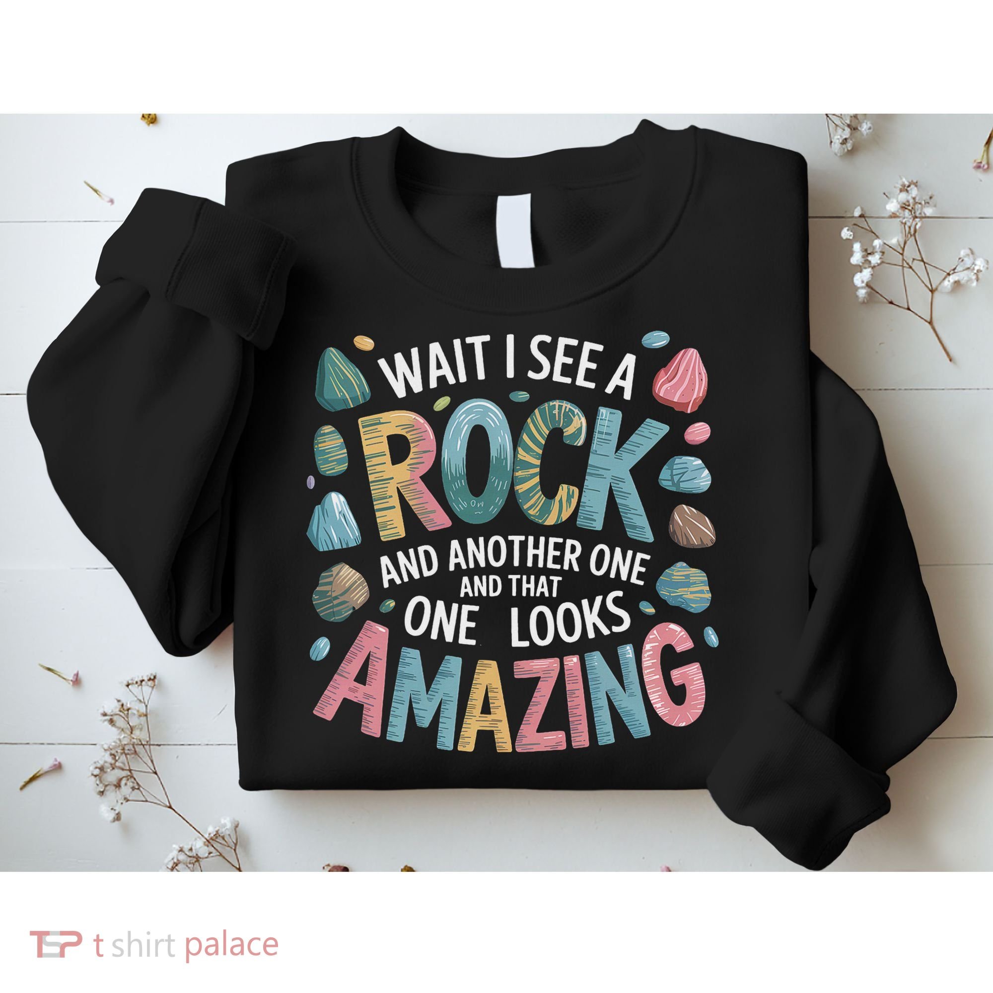 Wait I See A Rock Geologist Geology Teacher Sweatshirt