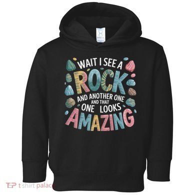 Wait I See A Rock Geologist Geology Teacher Toddler Hoodie