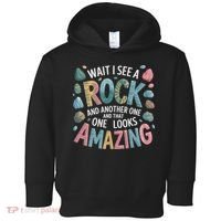 Wait I See A Rock Geologist Geology Teacher Toddler Hoodie thumb 0