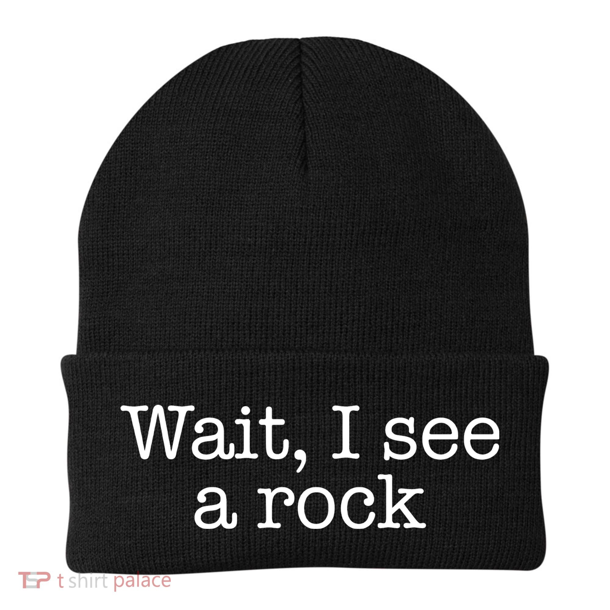 Wait I See A Rock Geology Teacher Beanie