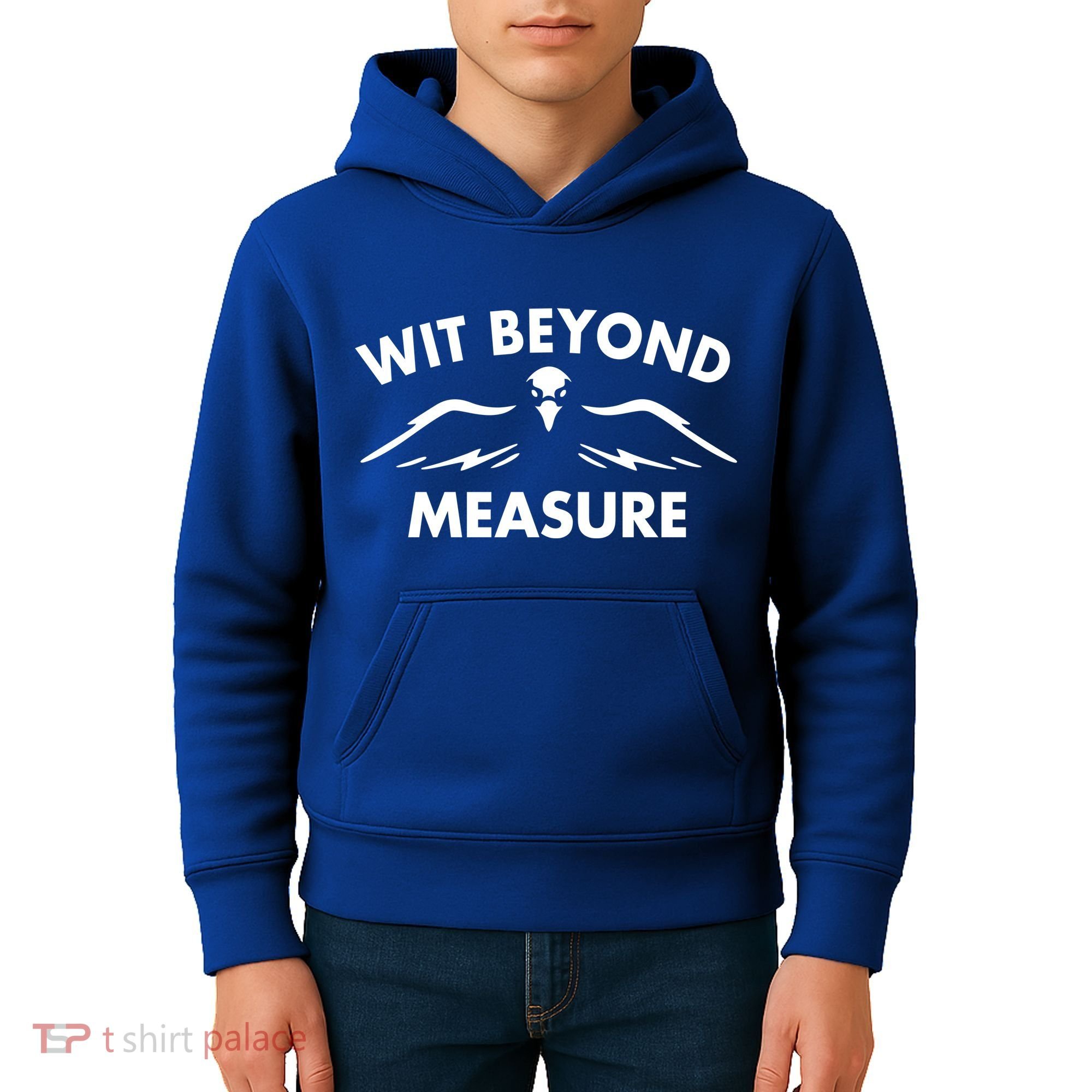 Wit Beyond Measure Kids Hoodie