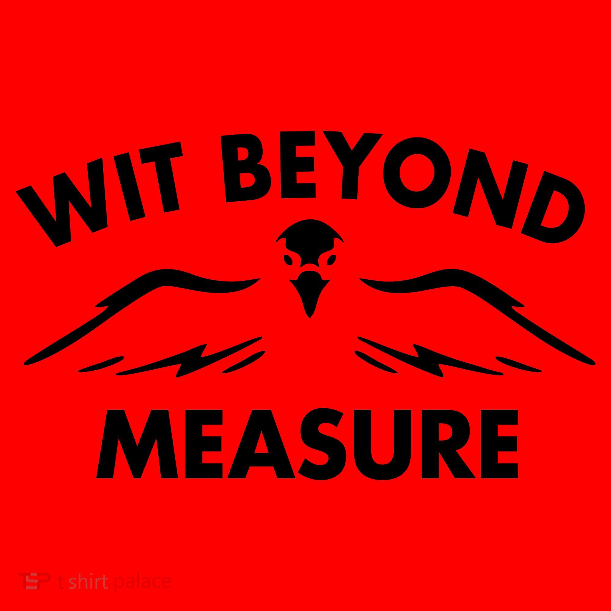 Wit Beyond Measure Santa Hat