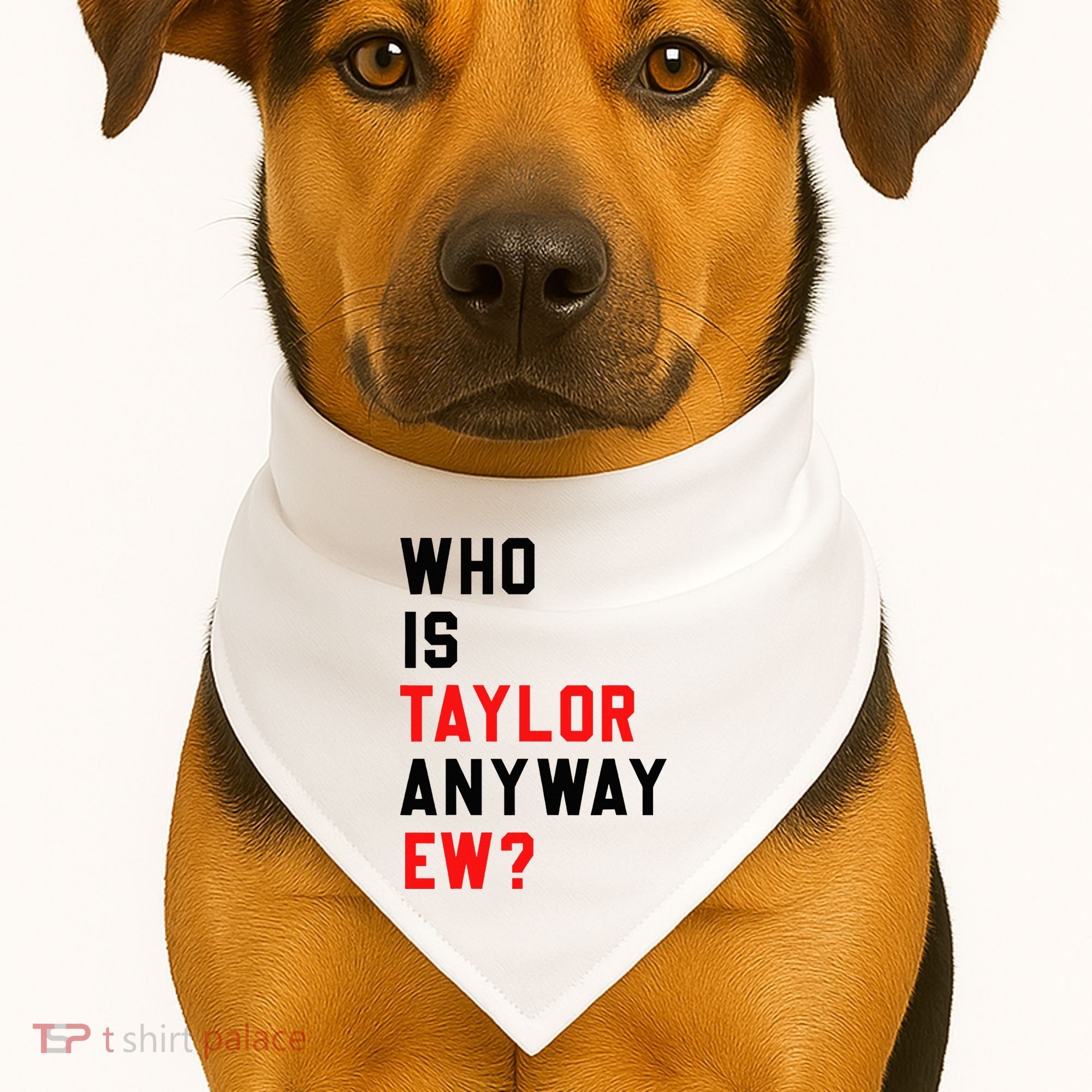 Who Is Taylor Anyway Ew Girl Taylor First Name Groovy 80S USA-Made Doggie Bandana