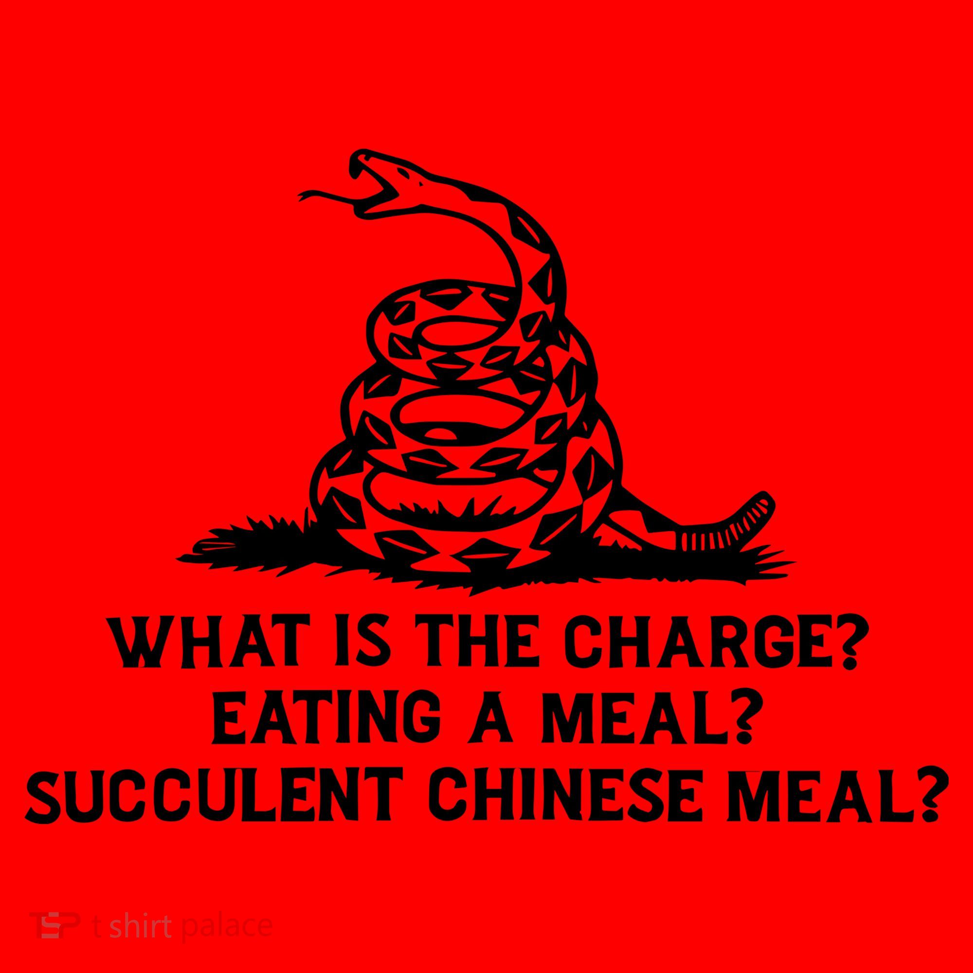 What Is The Charge Eating A Meal A Succulent Chinese Meal Santa Hat