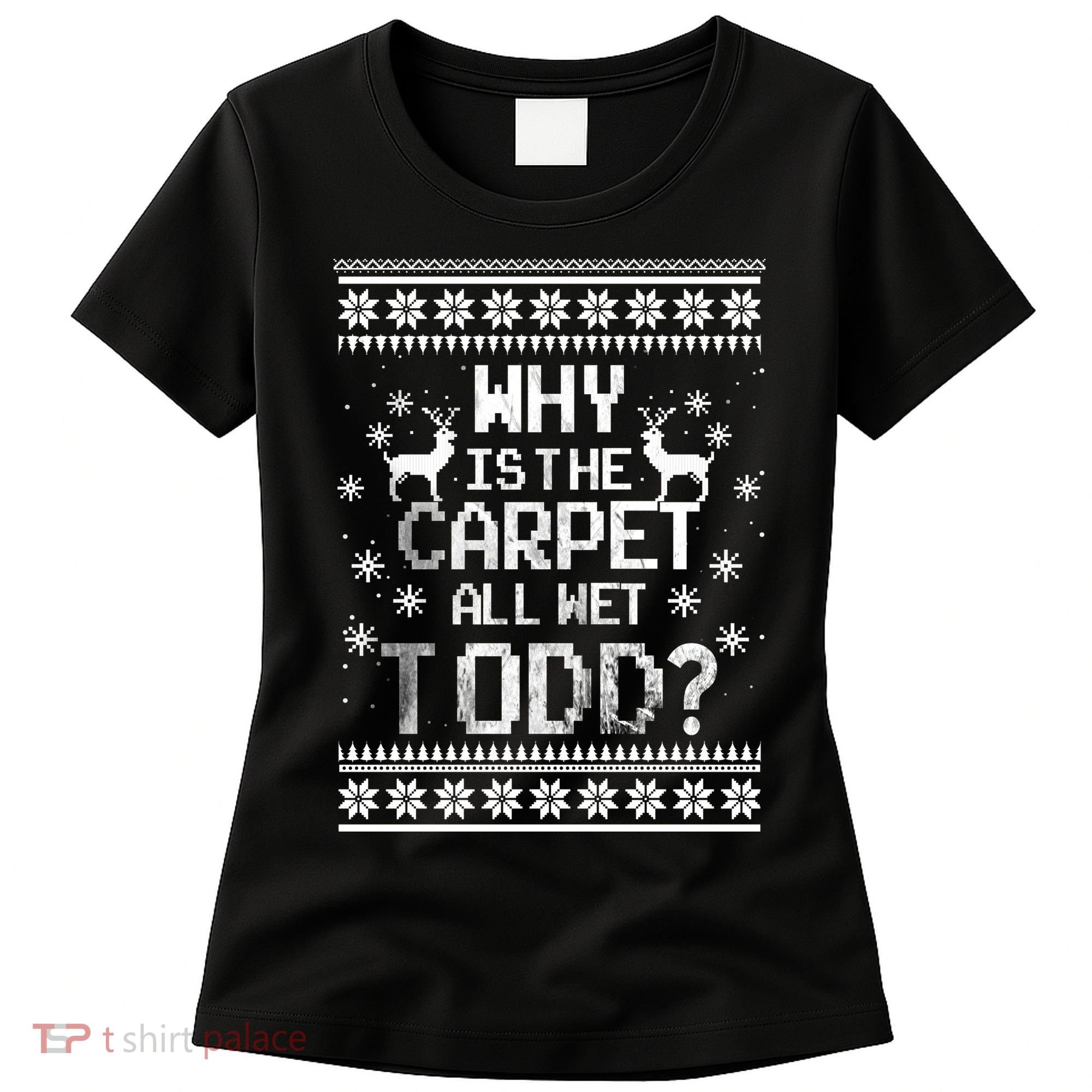Why Is The Carpet All Wet Todd? Couples Matching Christmas Women's T-Shirt