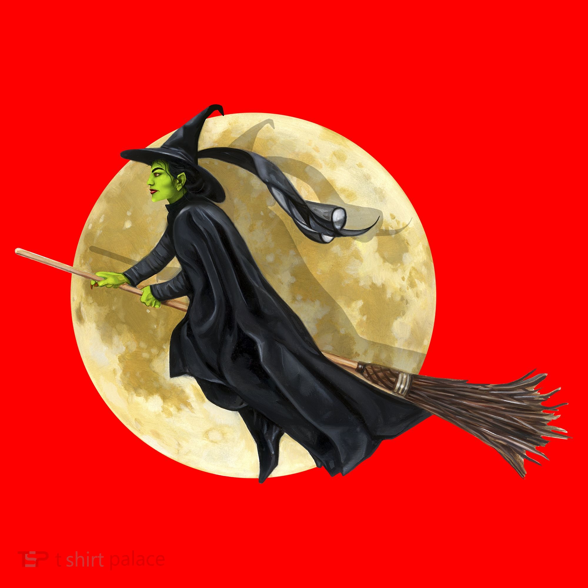 Witch and The Moon Santa Hat