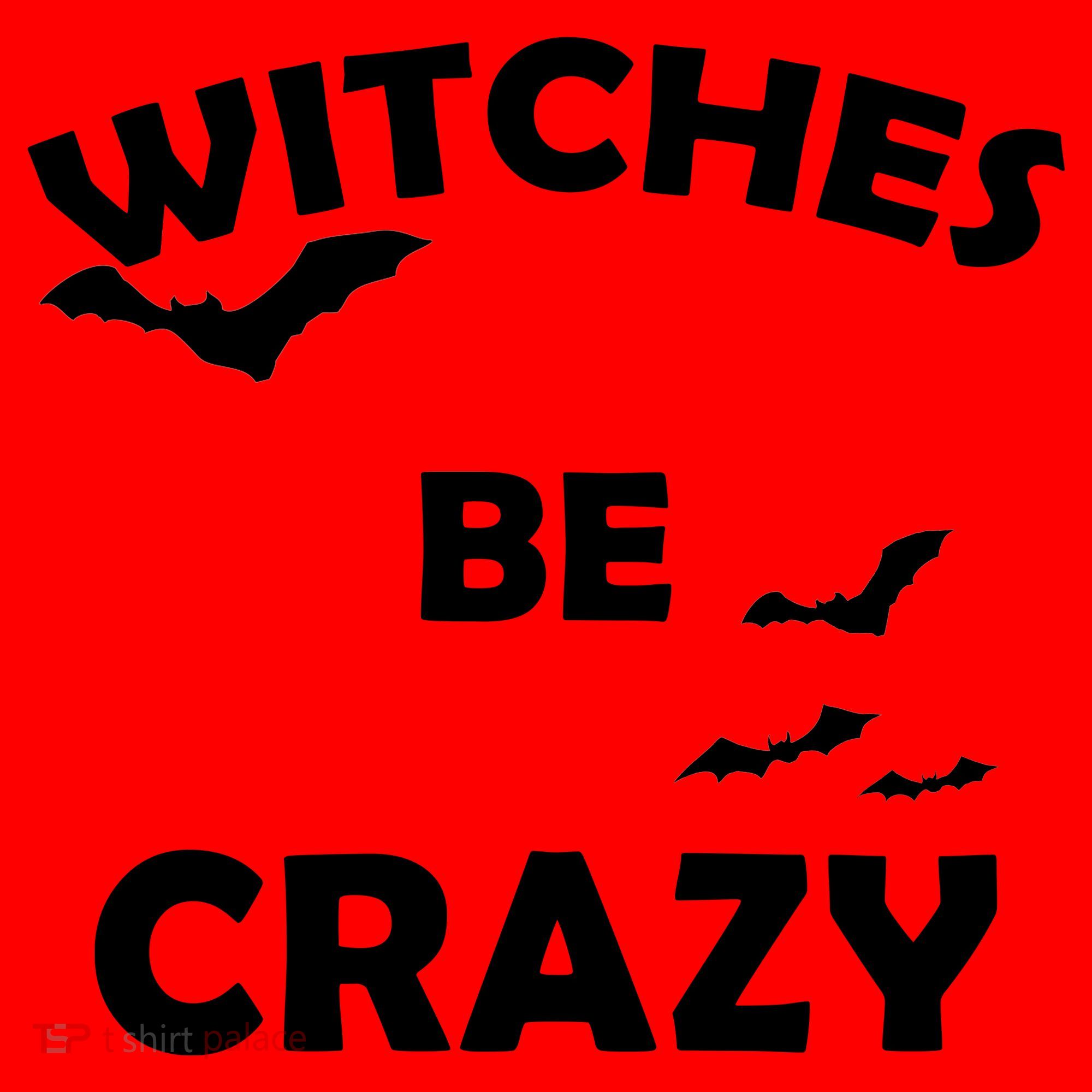 Witches Be Crazy1 Santa Hat