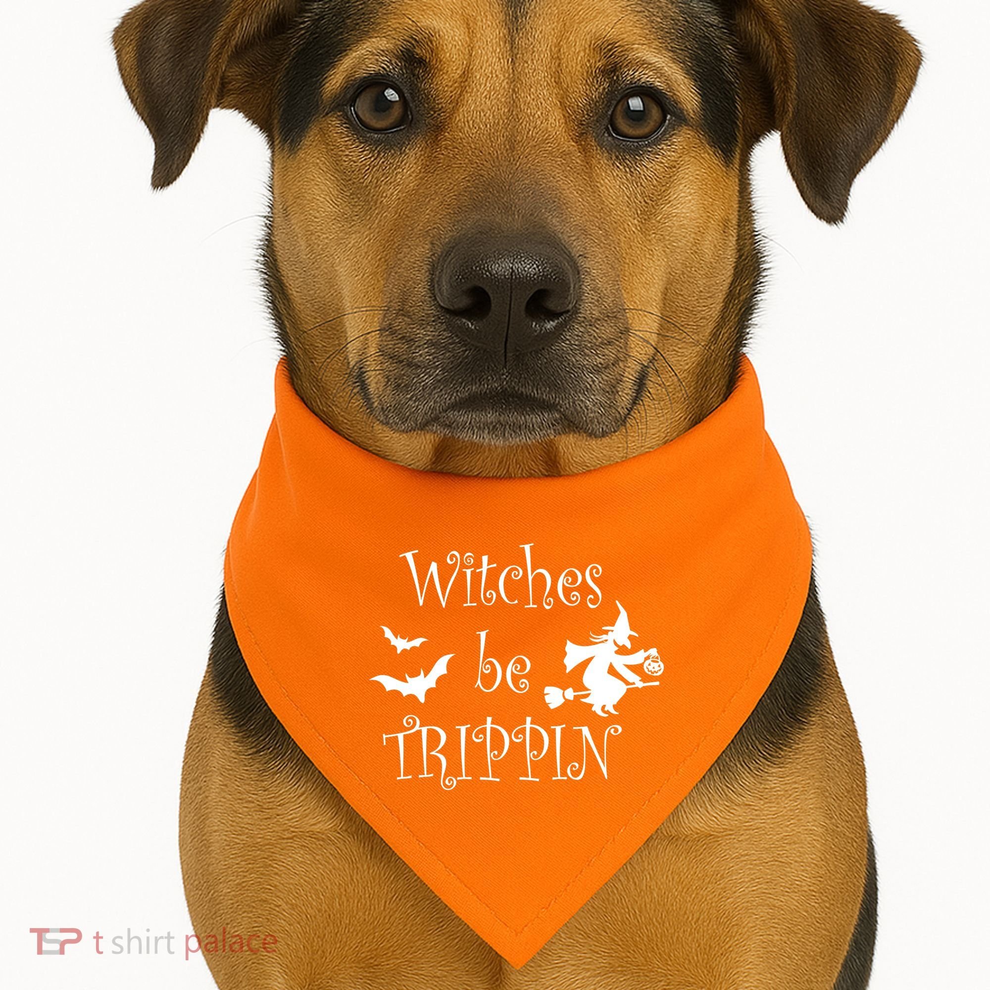 Witches Be Trippin USA-Made Doggie Bandana