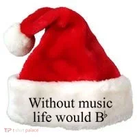 Without Music Life Would B Santa Hat thumb 0