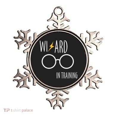 Wizard In Training  Ornament