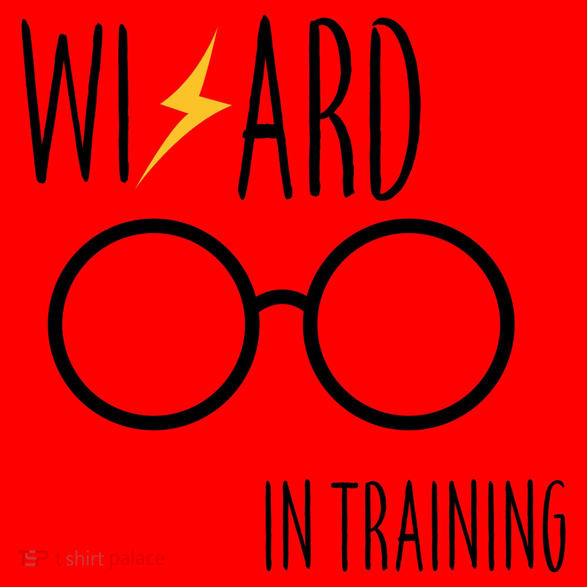 Wizard In Training  Santa Hat