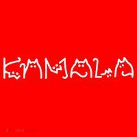 Women Kamala Harris Cat Lettering Positive Funny Gift Santa Hat thumb 1
