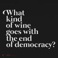 What Kind Of Wine Goes With The End Of Democracy Women's Hoodie thumb 2