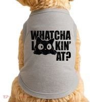 Watcha Lookin At Funny Cat Doggie Tank thumb 0