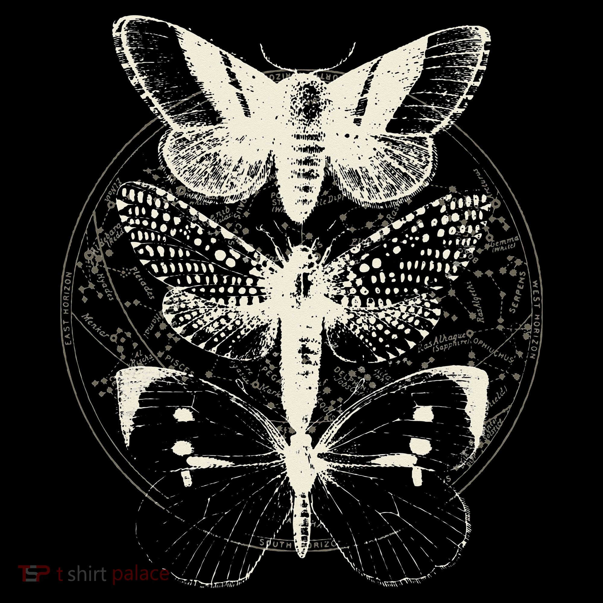 Witchcore Lepidoptera Butterfly Moth Insect Astronomy Lover Long Sleeve Shirt