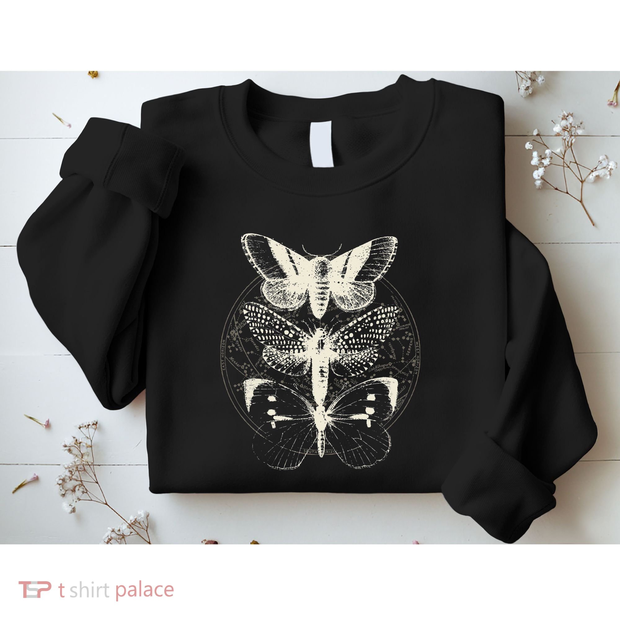 Witchcore Lepidoptera Butterfly Moth Insect Astronomy Lover Sweatshirt