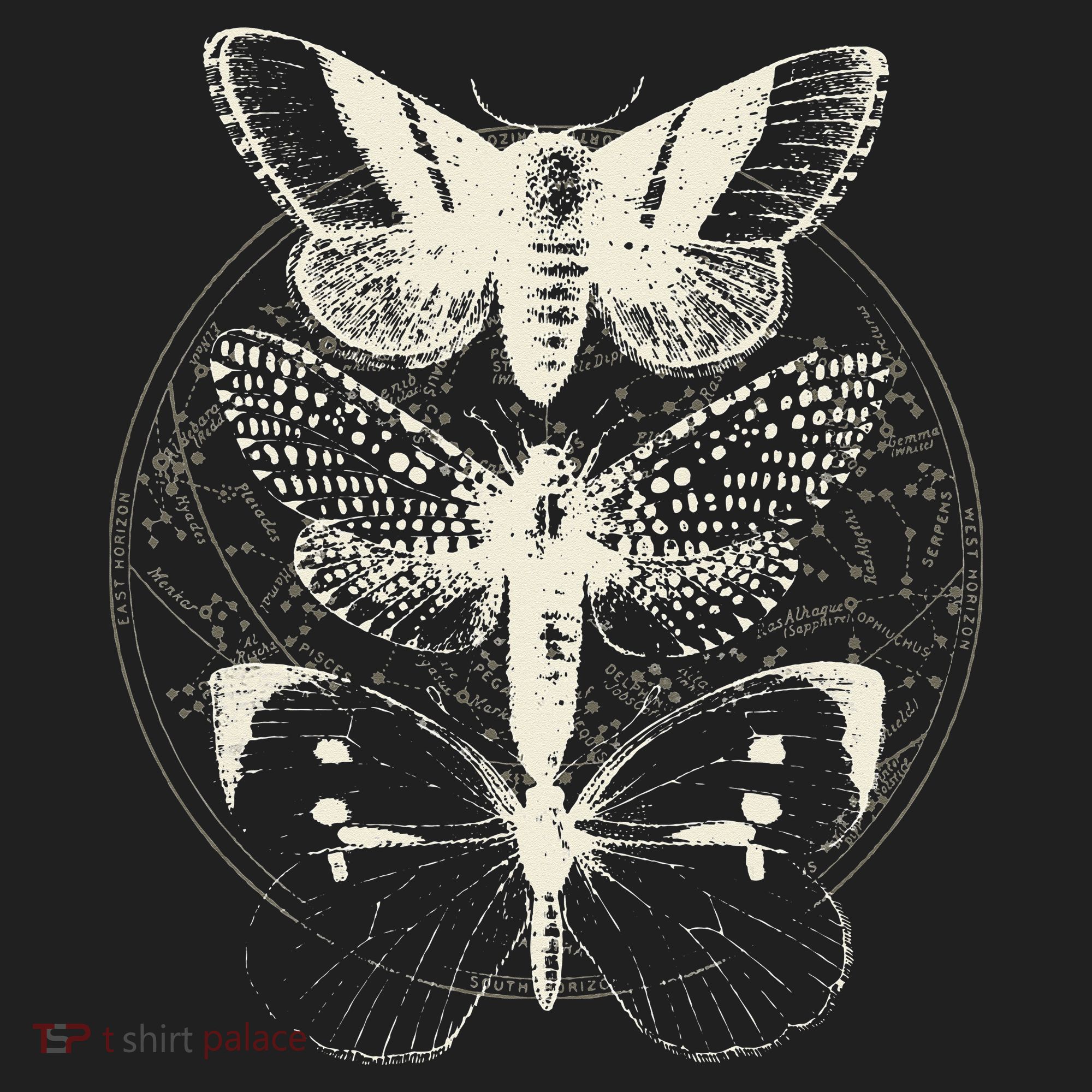 Witchcore Lepidoptera Butterfly Moth Insect Astronomy Lover Hat