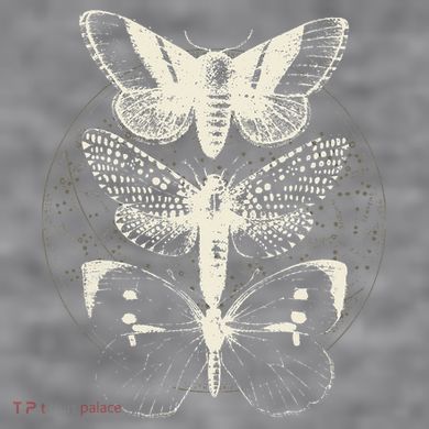 Witchcore Lepidoptera Butterfly Moth Insect Astronomy Lover Women's Racerback Cropped Tank