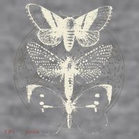 Witchcore Lepidoptera Butterfly Moth Insect Astronomy Lover Women's Racerback Cropped Tank thumb 2