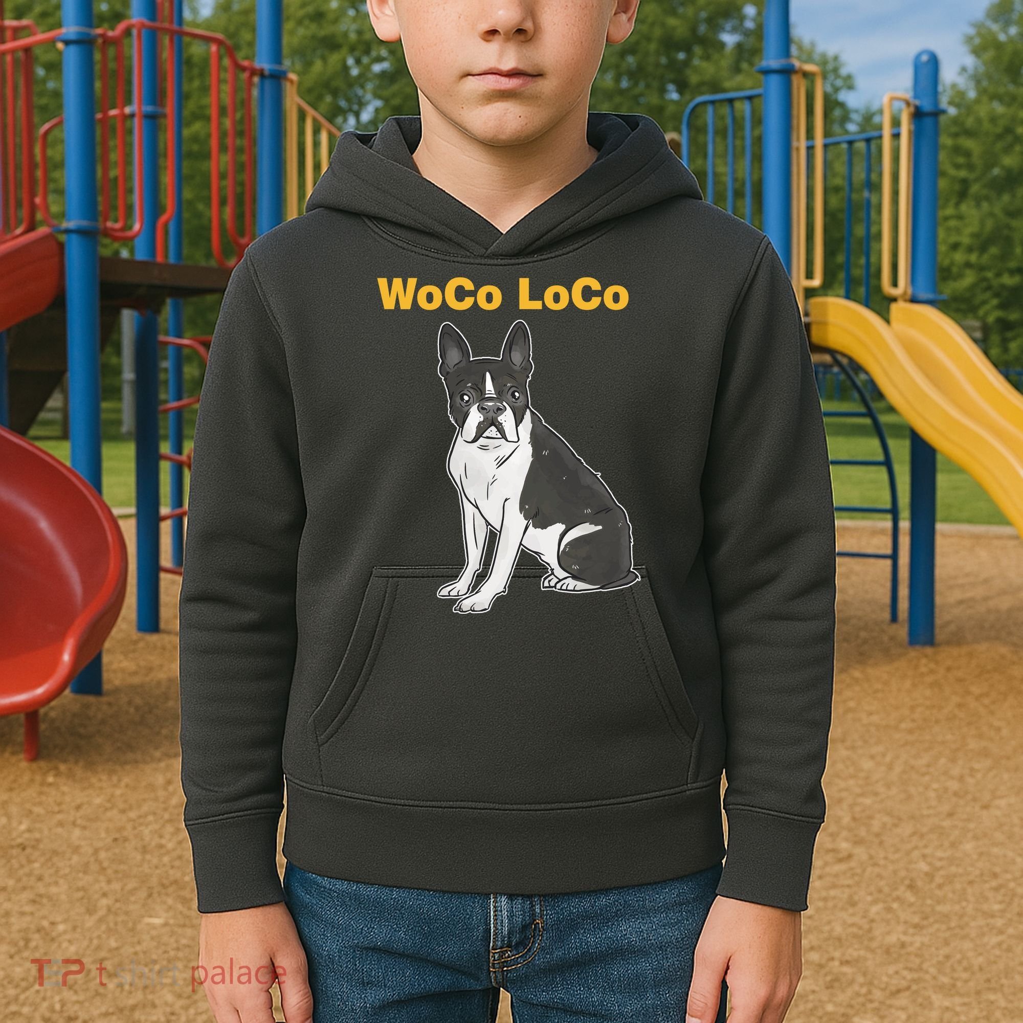 Woco Loco Boston Terrier Dog Kids Hoodie